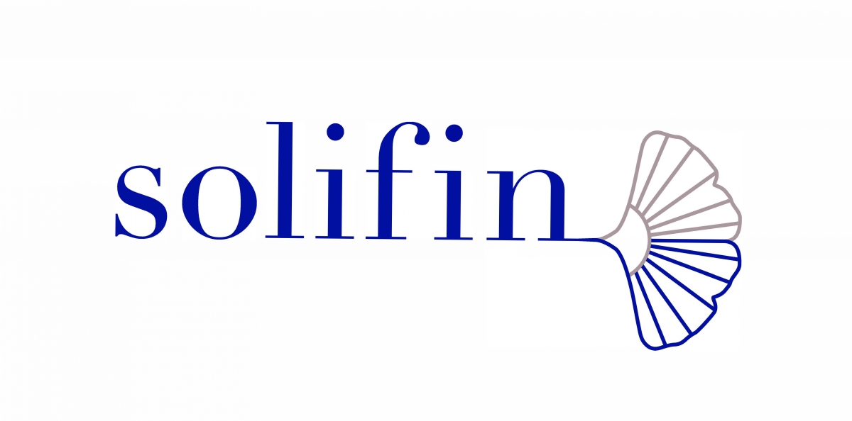 logo solifin