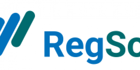 logo regsol